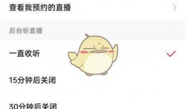 直播用的91音频在哪,打造沉浸式听觉盛宴